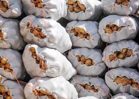واردات محموله سیب زمینی به بازار خراسان رضوی