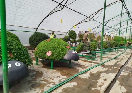 آماده سازی مشهد مقدس برای استقبال از نوروز ۱۴۰۴