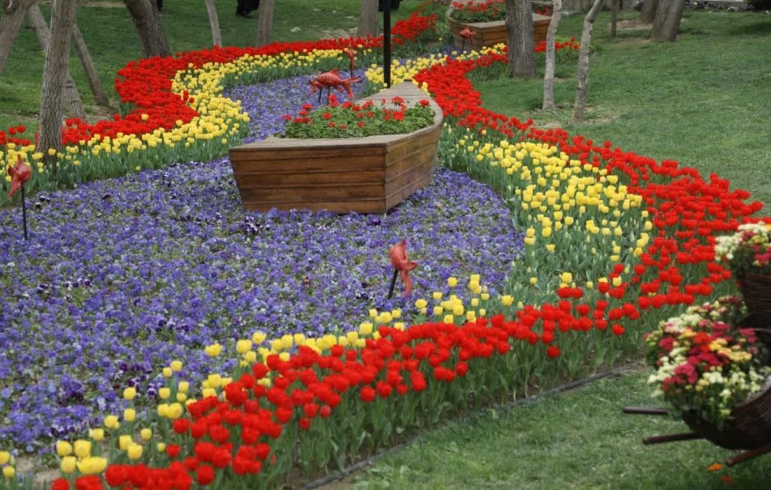 آغاز جشنواره گل‌های لاله در مشهد