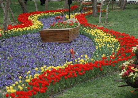 آغاز جشنواره گل‌های لاله در مشهد