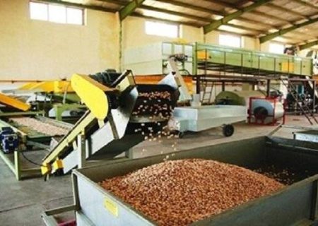 راه‌اندازی نخستین خط اتوماتیک فرآوری پسته با هوش مصنوعی بردسکن