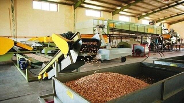 راه‌اندازی نخستین خط اتوماتیک فرآوری پسته با هوش مصنوعی بردسکن