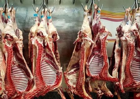 پشت پرده واردات گوشت چه منافع خاصی وجود دارد؟+فیلم