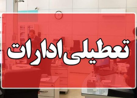 وقتی دولت خودش را برای حل مشکل ناتزاری تعطیل می‌کند