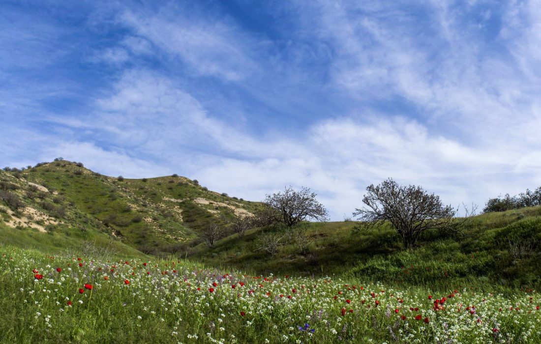 مقام نخست کلات در صیانت از منابع طبیعی و آبخیزداری