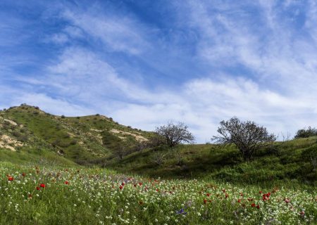 مقام نخست کلات در صیانت از منابع طبیعی و آبخیزداری