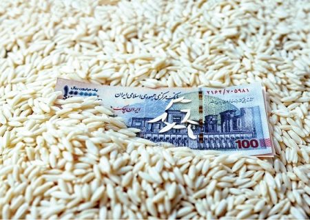 قیمت برنج، ترمز برید/ اقای وزیر؛ چرا قیمت برنج ارزان نشد؟ / روش جدید دلالان برای گران کردن قیمت برنج