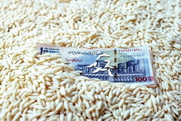 قیمت برنج، ترمز برید/ اقای وزیر؛ چرا قیمت برنج ارزان نشد؟ / روش جدید دلالان برای گران کردن قیمت برنج