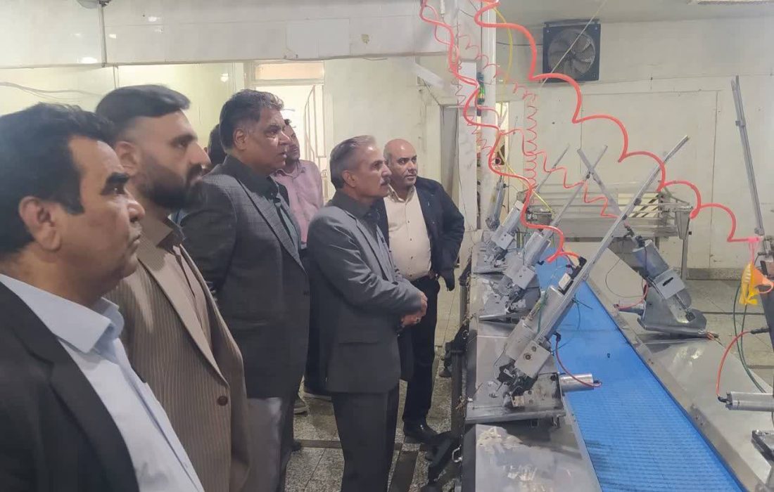 سبزوار،بزرگ‌ترین تولید کننده گوشت مرغ در خراسان رضوی