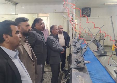 سبزوار،بزرگ‌ترین تولید کننده گوشت مرغ در خراسان رضوی