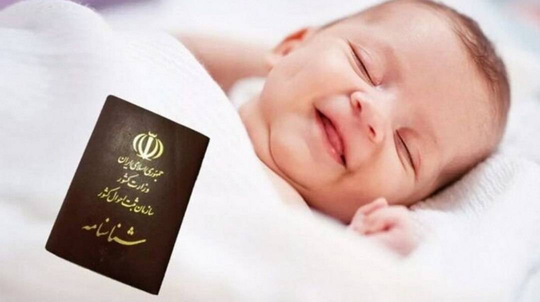 افزایش آمار ولادت در فریمان