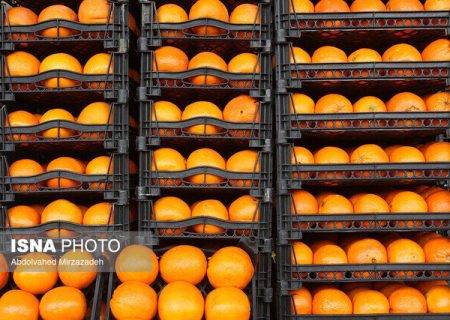 رئیس اتحادیه خرده فروشان میوه و تره‌بار مشهد: واکس پرتقال بر روی بافت داخلی میوه اثری ندارد