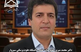 پژوهشگر سبزواری، جزو یک درصد پژوهشگران پراستناد جهان