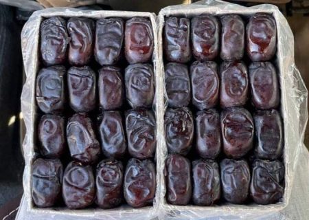 آغاز توزیع خرما ویژه ماه رمضان در خراسان رضوی