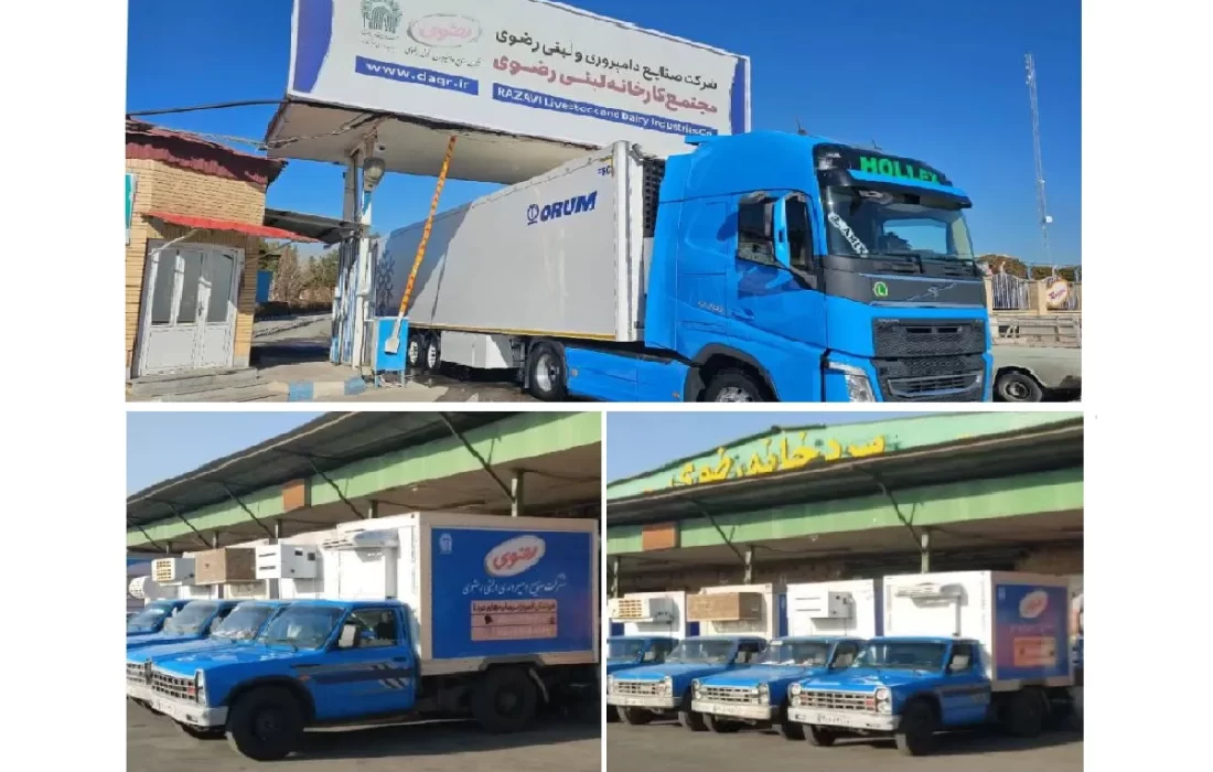 بیش از ۵۰۰۰ فروشگاه مشهد تحت پوشش شبکه توزیع لبنیات رضوی