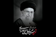 اصناف خراسانی برای خدمت به زائران تشییع رهبر شهید، بسیج شدند