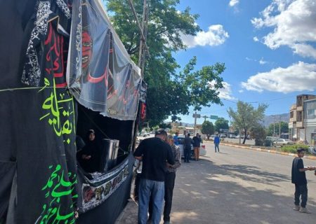 تربت‌حیدریه در کانون میزبانی از خیل زائران بدرقه باشکوه رهبر شهید انقلاب