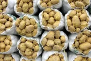افزایش قیمت سیب‌زمینی در مشهد موقتی است