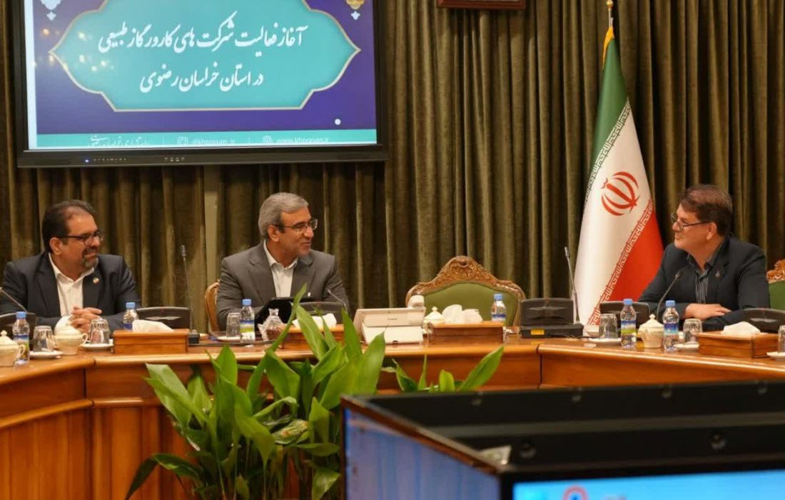 طرح «شرکت‌های کارور» یکی از بزرگ‌ترین دستاوردهای دولت چهاردهم در مدیریت ناترازی است